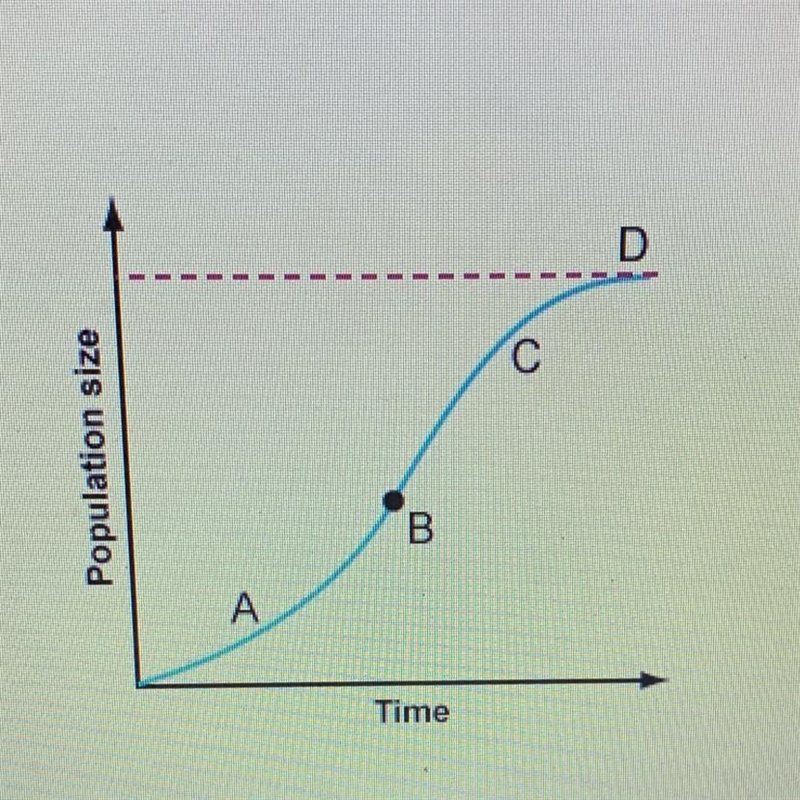 Where is the growth rate slowing down in the graph shown above? O A. Point A B. Point-example-1