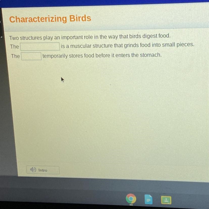 Two structures play an important role in the way that birds digest food. is a muscular-example-1