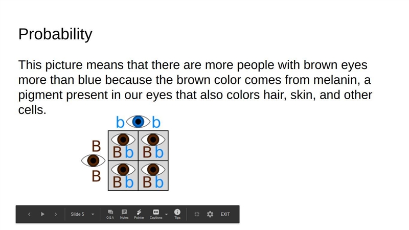 I need to summarize all of this...PLeAsE hElP mEeE!!!!!-example-4