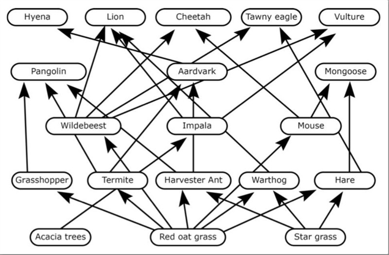 Please help will do anything! Which of the following can be determined by this diagram-example-1