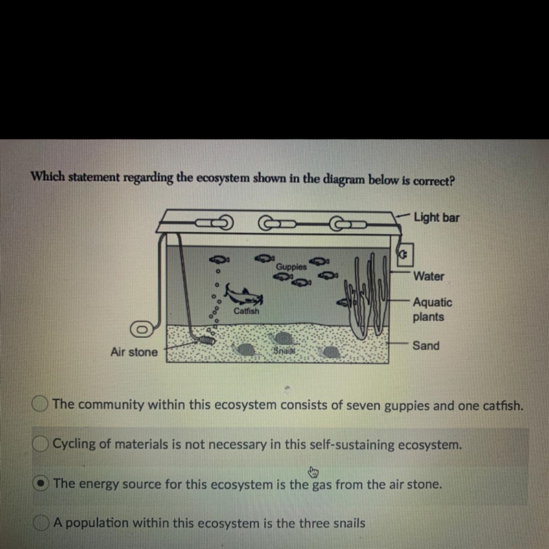 Which statement regarding the ecosystem shown in the diagram below is correct-example-1