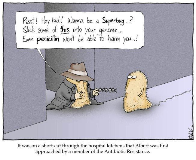 This cartoon jokes about the formation of superbugs; this is an example of natural-example-1