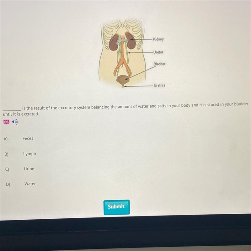 Plz help mee!!(20) points-example-1