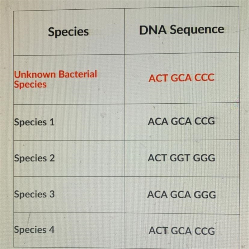 20 POINTS! FAST PLS! Scientists analyze DNA to determine how relatedness among species-example-1