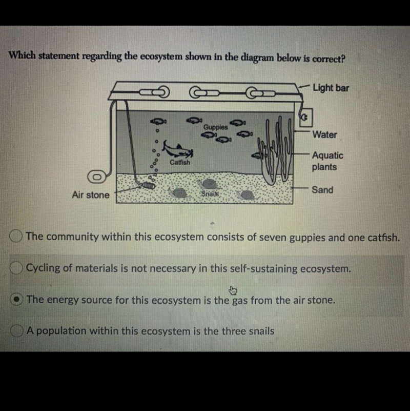 Which statement regarding the ecosystem shown in the diagram below is correct-example-1