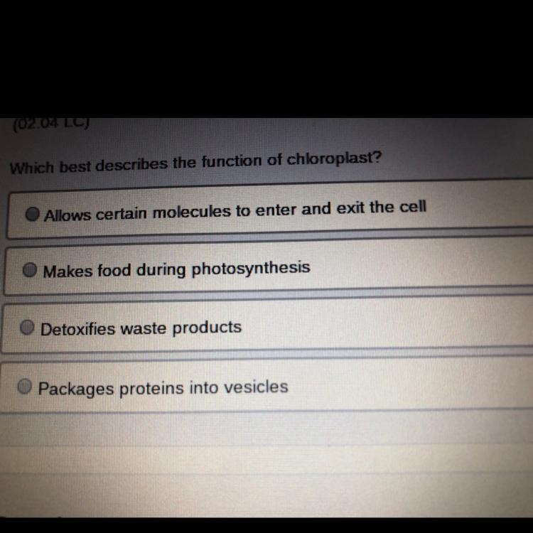 Which best describes the function of chloroplast?-example-1