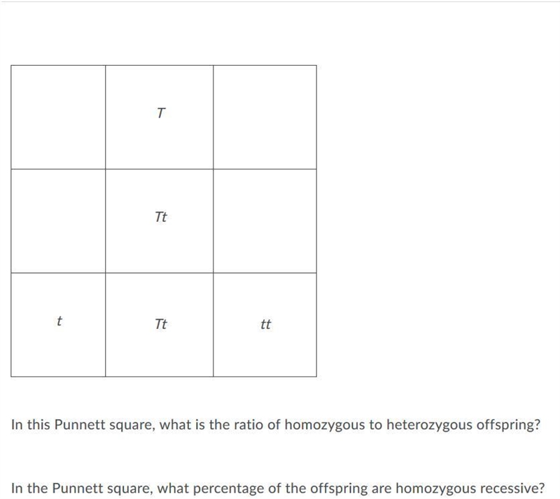 Complete this Punnett square enter your answer in the space provided.-example-1