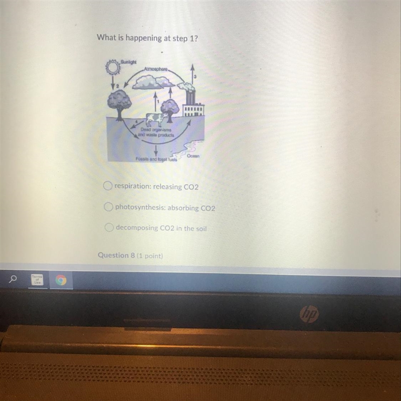 What is happening at step 1? Dead organisms and este products Foss respiration: releasing-example-1