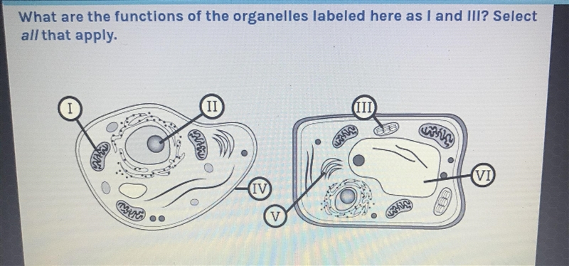 Any and all help appreciated :)-example-1