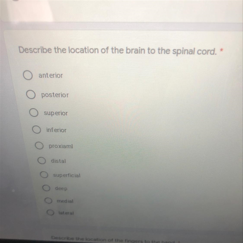 Describe the location of the brain to the spinal cord-example-1