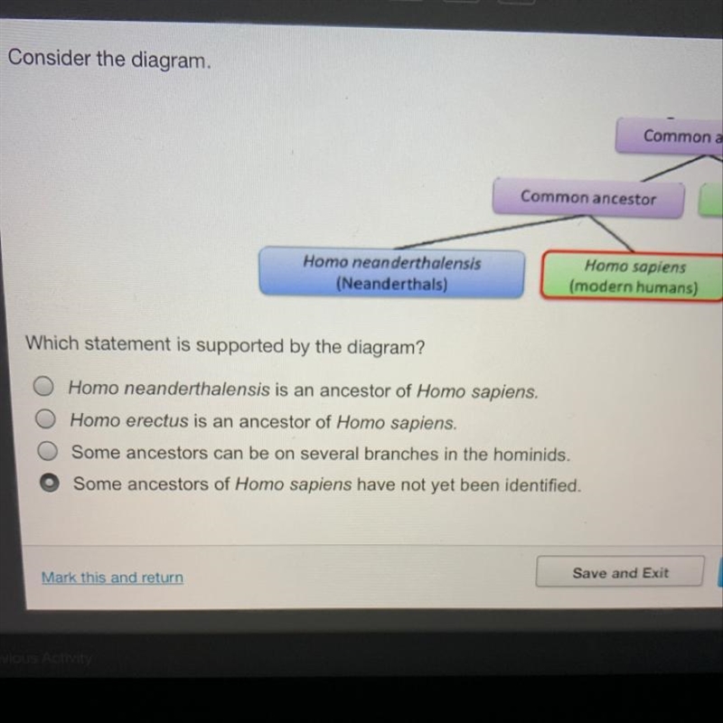 TIME REMAINING 56:31 Consider the diagram. Common ancestor Common ancestor Homo erectus-example-1