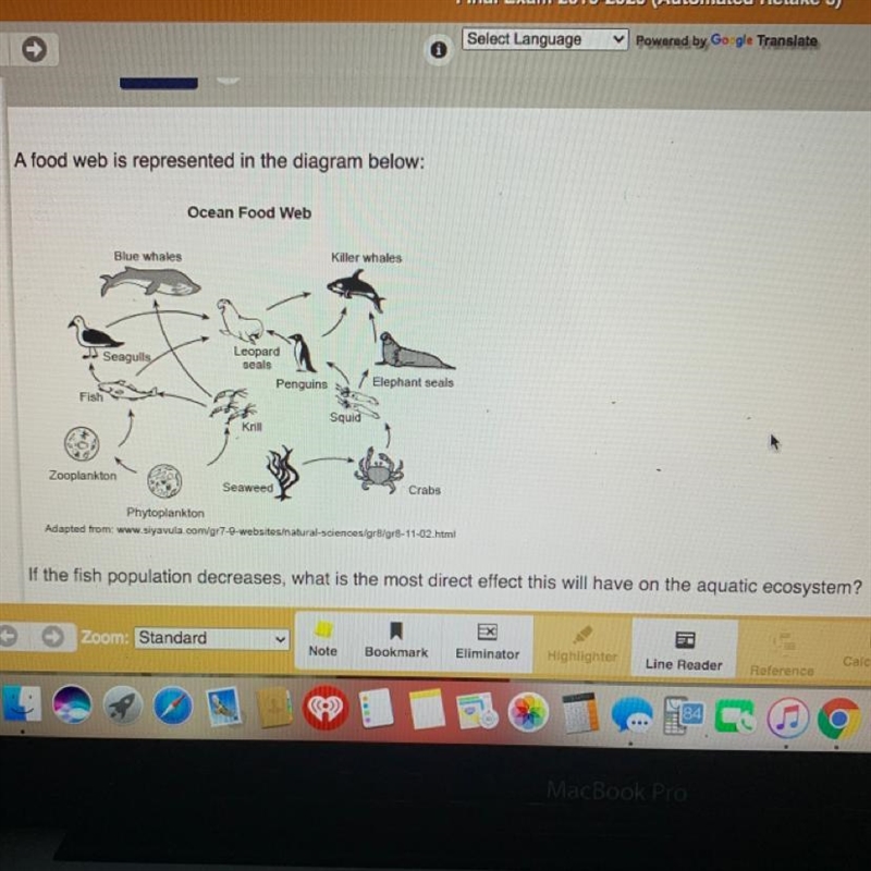 1. The leopard seals will all die from lack of food. 2. The leopard seals will all-example-1