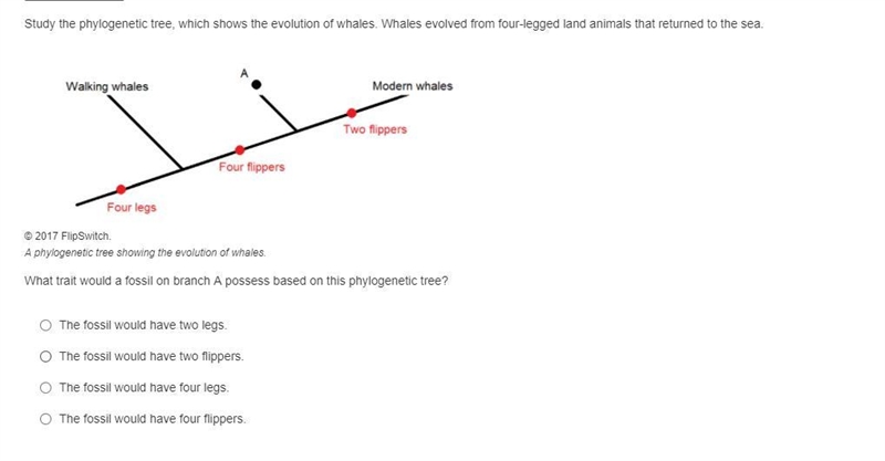 Can someone help out please-example-1