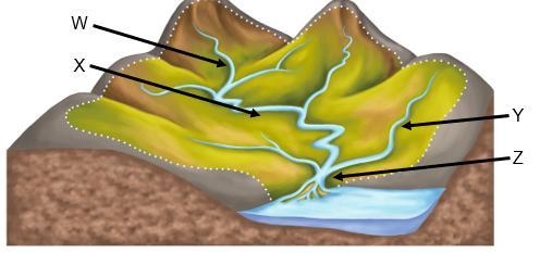 The following image shows a river's watershed. A group of farms need water for irrigation-example-1