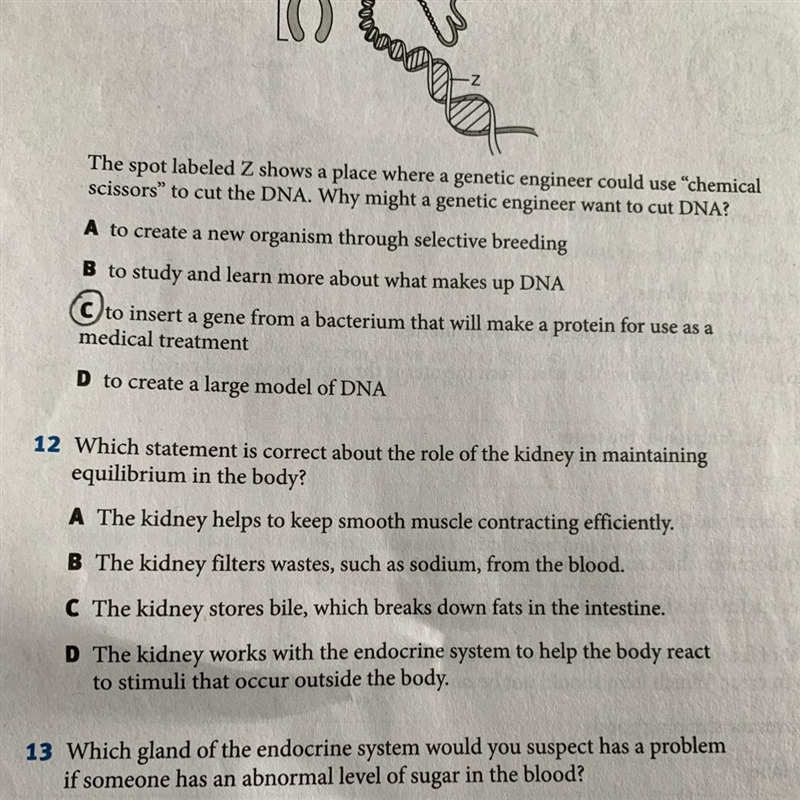 Please answer number 12-example-1