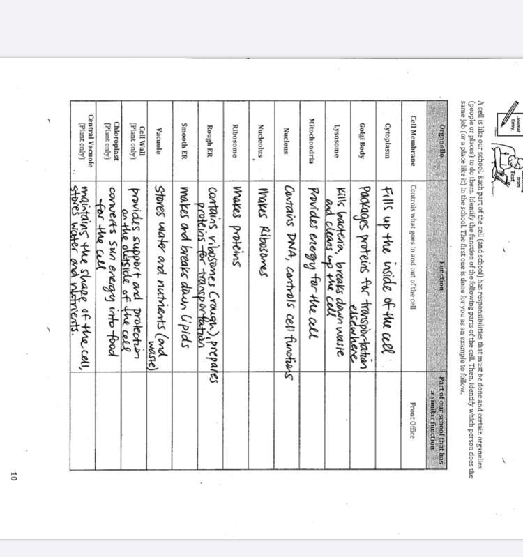 What part of your school fils up the inside of the cell-example-1