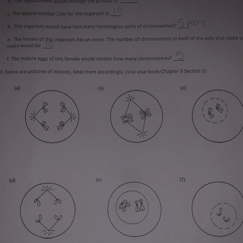 I need help with this (#20)-example-1