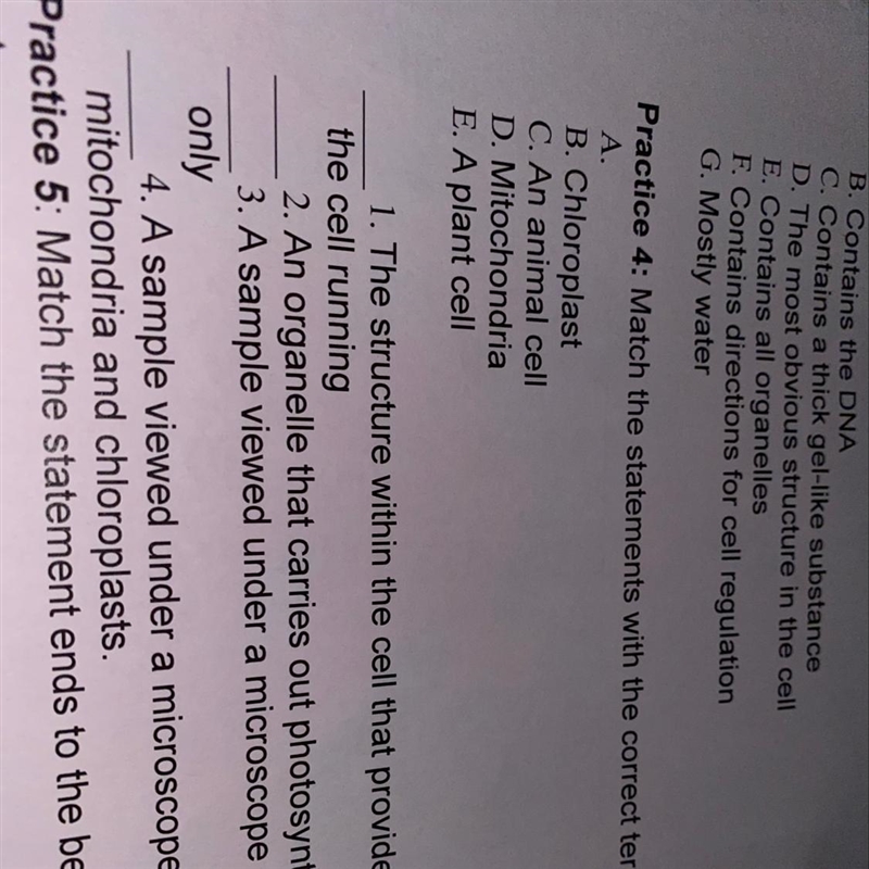 Match the statements with the correct term. A. B. Chloroplast C. An animal cell D-example-1