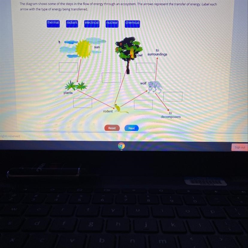 Label each arrow with the type of energy being transferred.-example-1