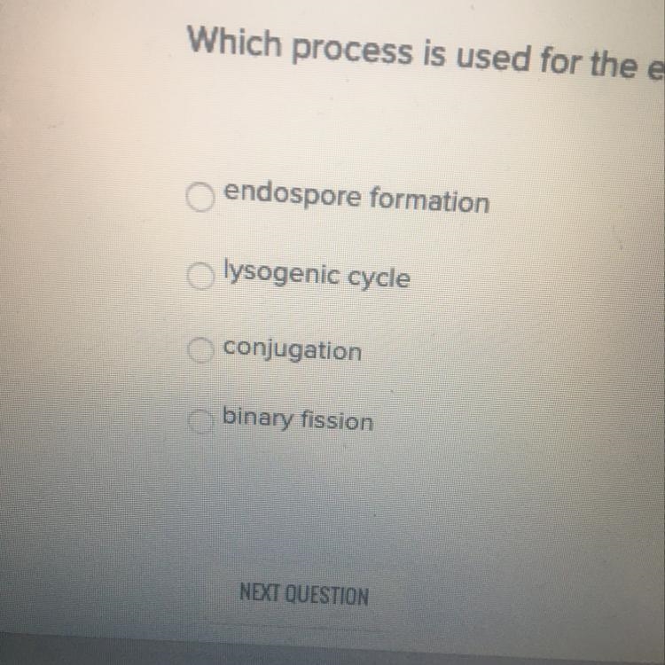 Which process is used for exchange of genetic information between two bacterial cells-example-1