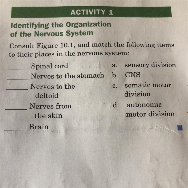 Match the following items to their places in the nervous system-example-1