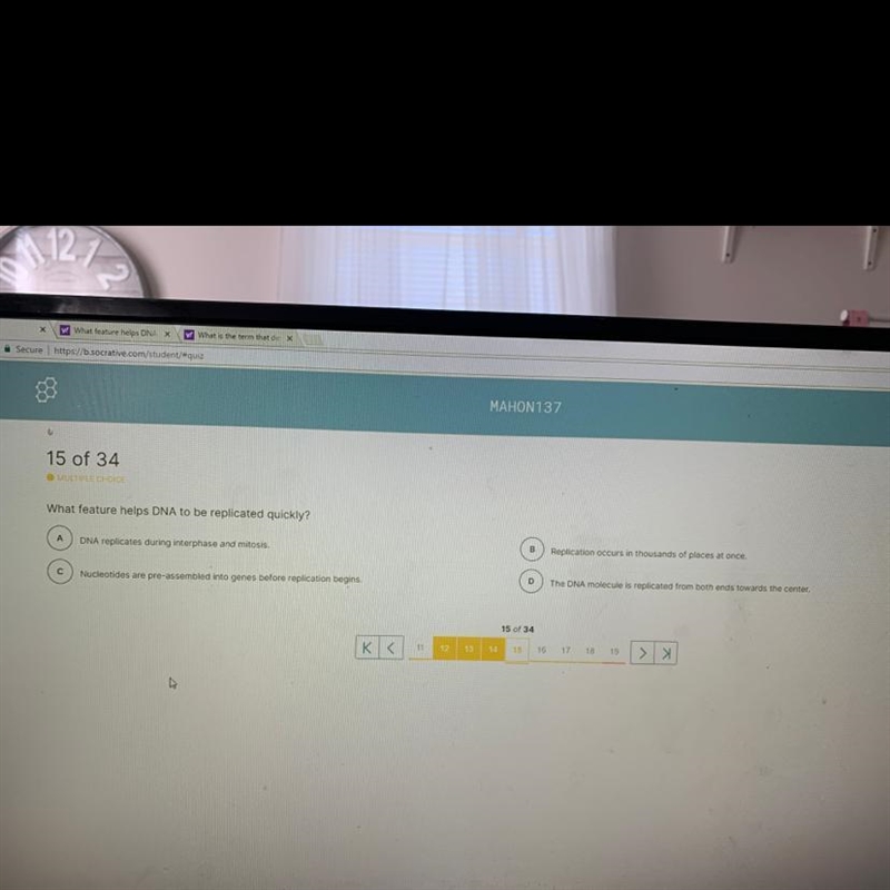 What feature helps dna to be quickly replicated-example-1