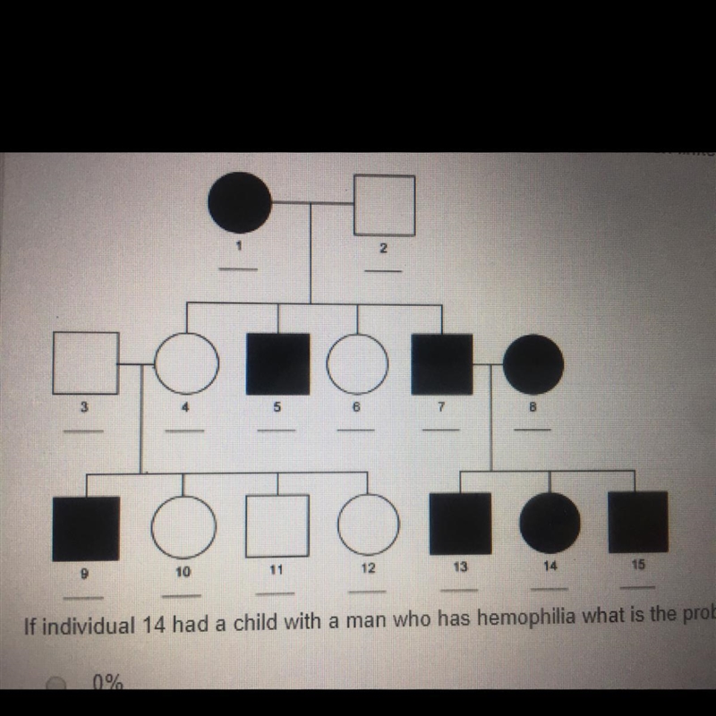 If individual 14 had a child with a man who has hemophilia what is the probability-example-1