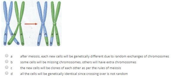 The pairing of chromosomes and the exchange of DNA between chromosomes is called crossing-example-1