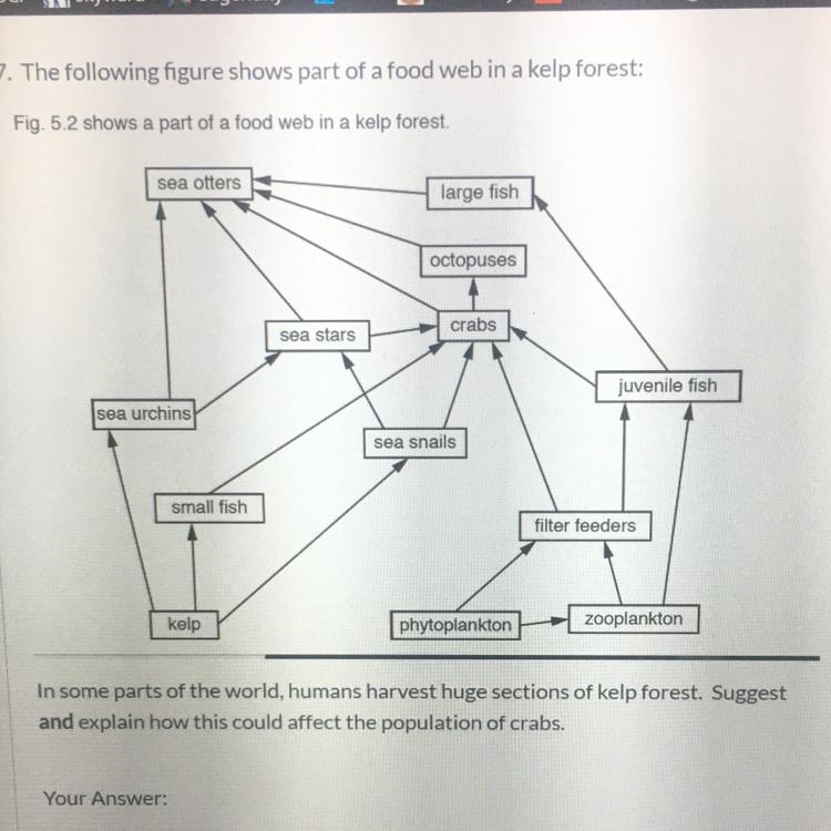 URGENT!! In some parts of the world, humans harvest huge sections of kelp forest. Suggest-example-1