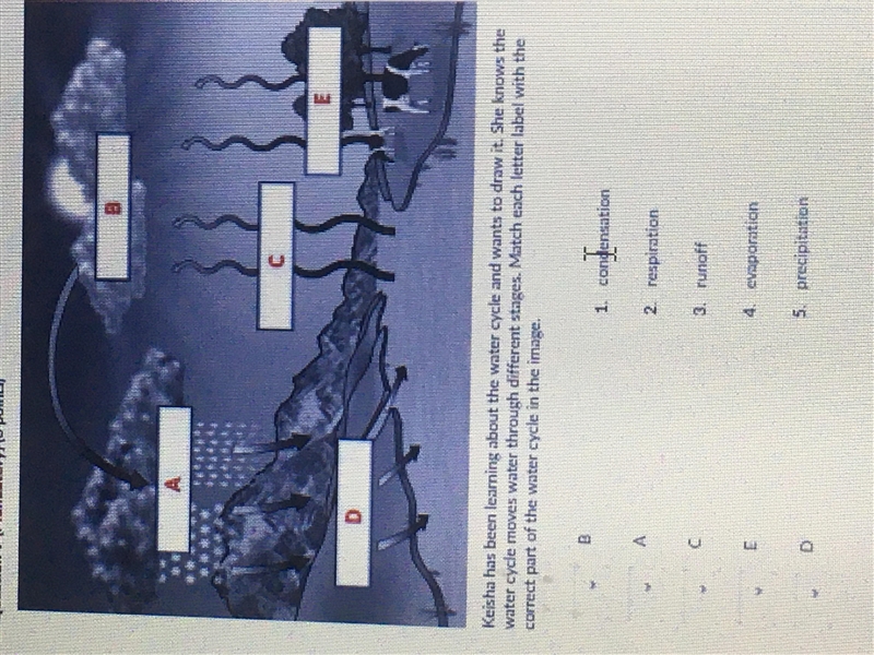 Match each letter label with the correct part of the water cycle in the image-example-1