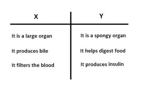 Joy created a T-chart to compare two human body organs and labeled them as X and Y-example-1