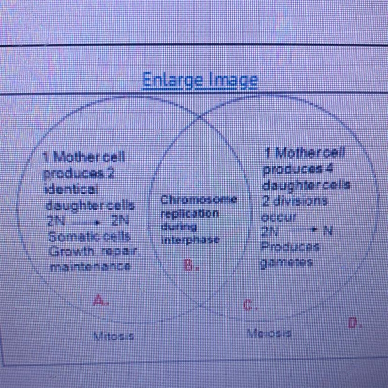 Meiosis is key to genetic differences within a gene pool that helps to drive natural-example-1