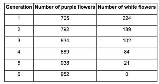 Ralph wanted to breed a pea plant that produced only purple flowers. He continued-example-1