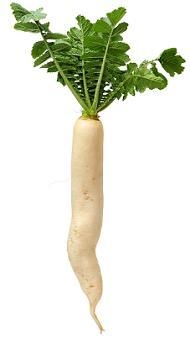 PLS BE RIGHT The image shows a white radish, which is a seed plant Which describes-example-1