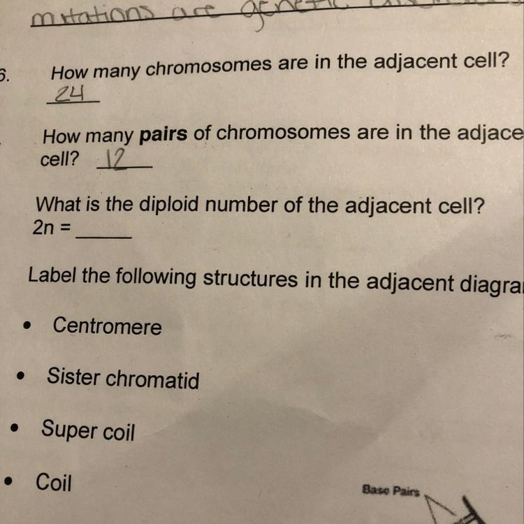 I need help with number 8 plz!!!-example-1