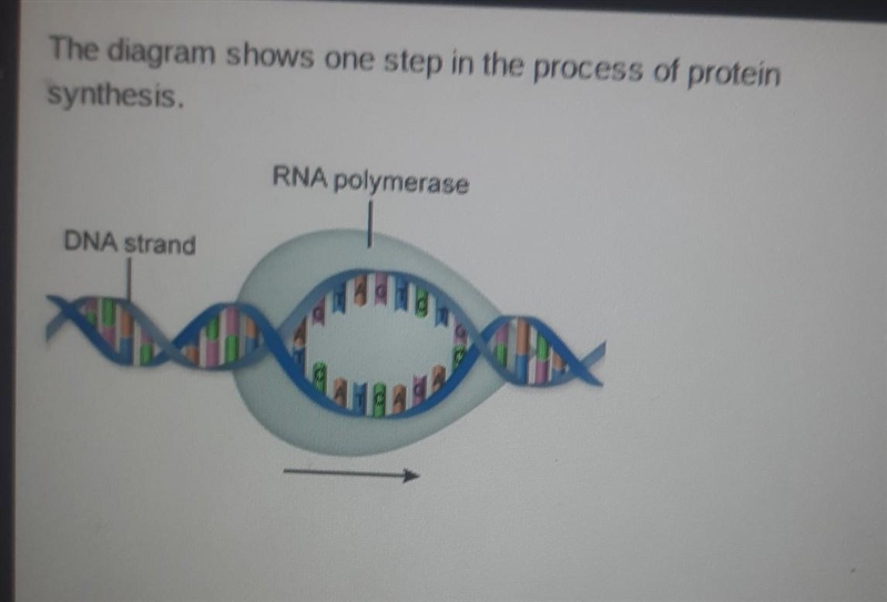 The process shown in the diagram is called [_______]​-example-1