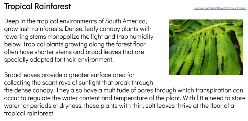 What are two adaptations given in the above passage on tropical plants which would-example-1