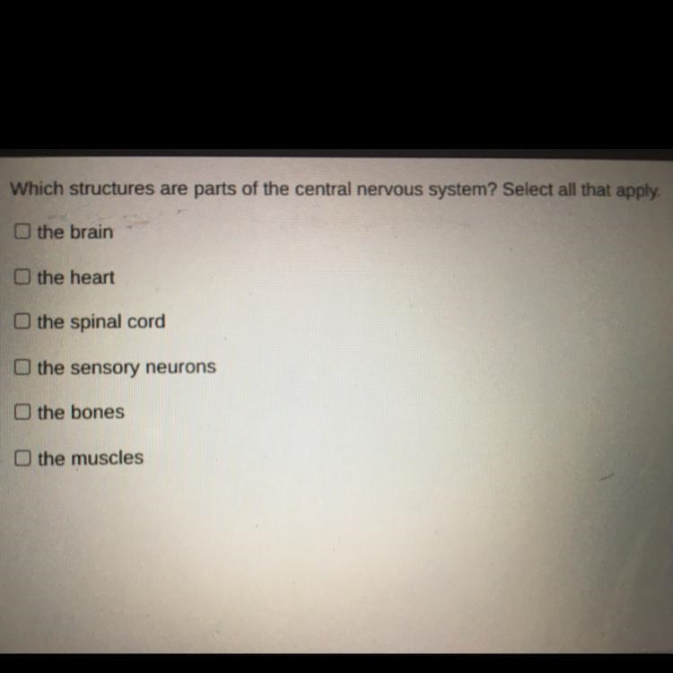 What structures are parts of the central nervous system? Select all that apply.-example-1