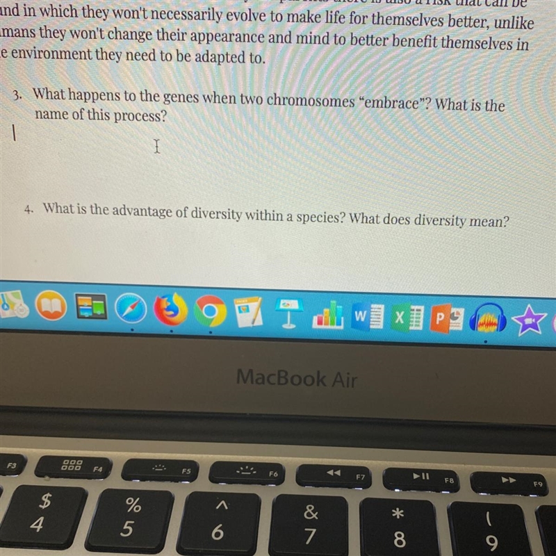 3. What happens to the genes when two chromosomes “embrace”? What is the name of this-example-1