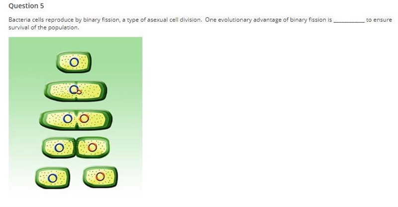 Answer correctly choices - a greater genetic variation in daughter cells b the ability-example-1