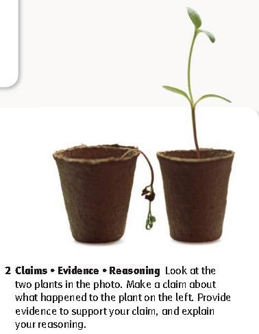 Look at the two plants in the photo. Make a claim about what happened to the plant-example-1