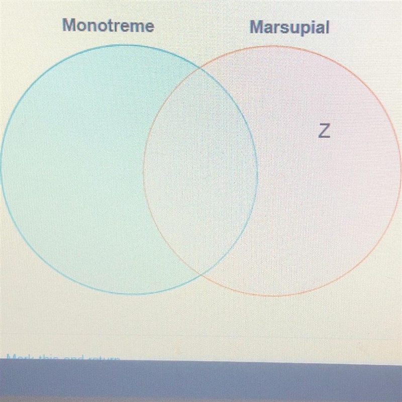 Zoe drew a diagram to compare monotreme and marsupial mammals. Which label belongs-example-1