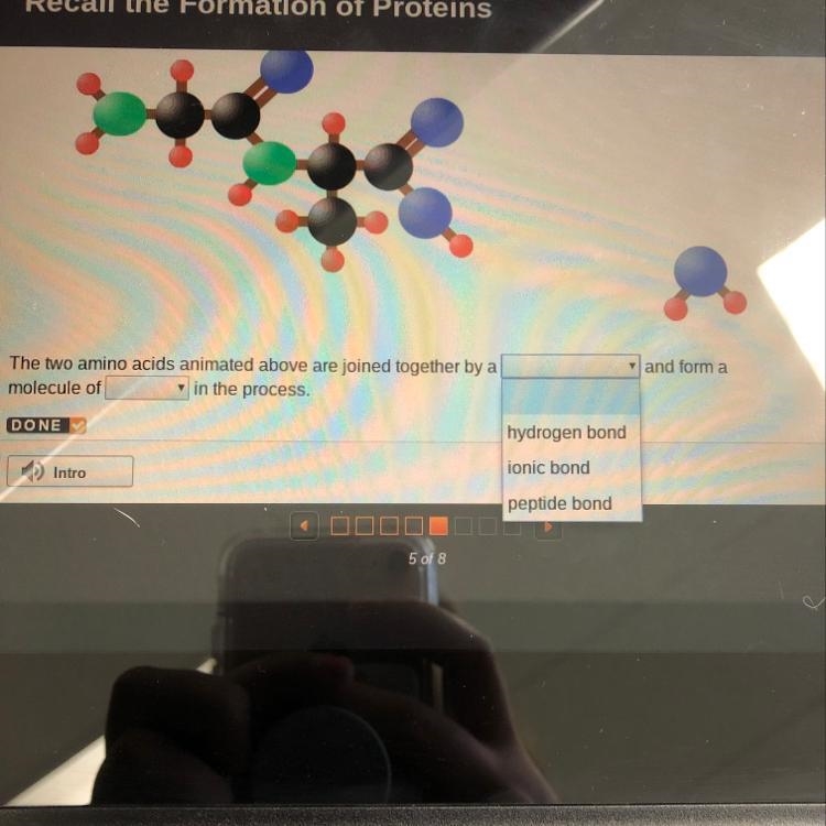 Answer options: Hydrogen bond Ionic bond Peptide bond Plz help!!-example-1