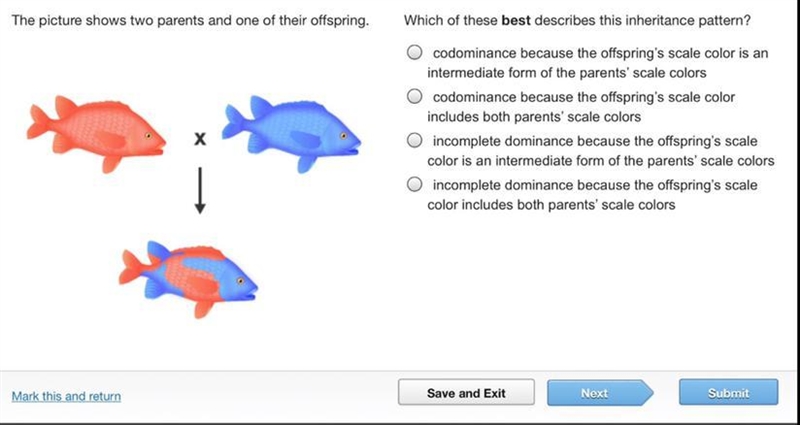 The picture shows two parents and one of their offspring. Which of these best describes-example-1