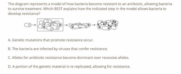 Anyone can answer this?-example-1