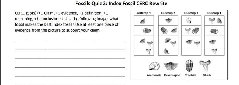 What is the best index fossil? (I don't need a full CERC.)-example-1