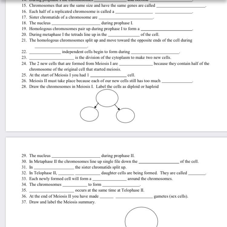 Need help with a worksheet. 15-25 i’m stuck-example-1