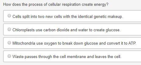 How does the process of cellular respiration create energy?-example-1