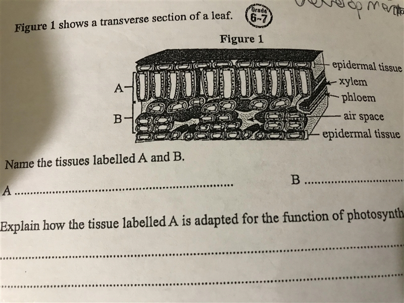 Science biology hw please help fast-example-1