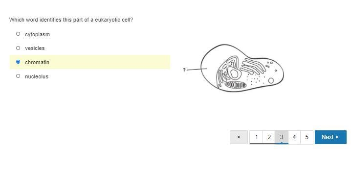 Heellllppp is the one i picked correct?-example-1